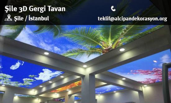 Şile 3D Gergi Tavan Uygulama Çözümleri