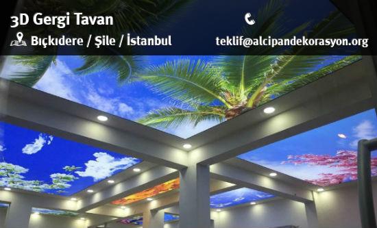 Şile 3D Gergi Tavan Uygulama Çözümleri