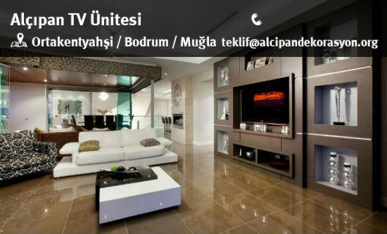 Bodrum Alçıpan TV Ünitesi Uygulama Çözümleri