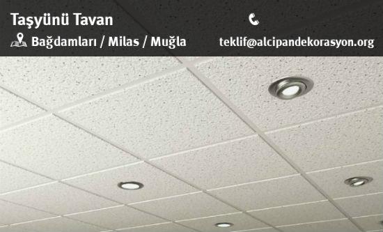 Milas Taşyünü Tavan Uygulama Çözümleri