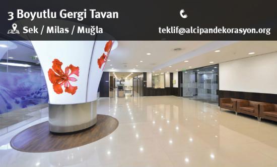 Milas 3 Boyutlu Gergi Tavan Uygulama Çözümleri
